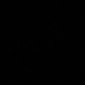 Meet your Posher, Tyree